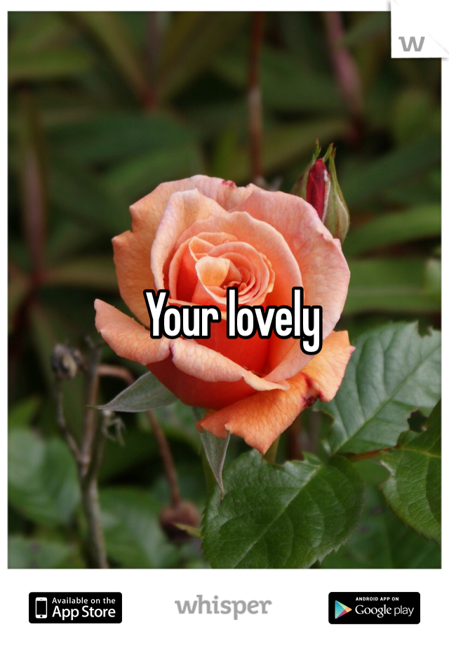 Your lovely 