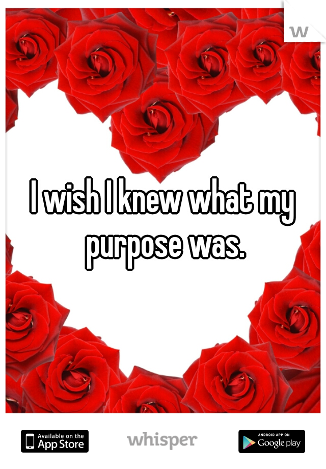 I wish I knew what my purpose was.