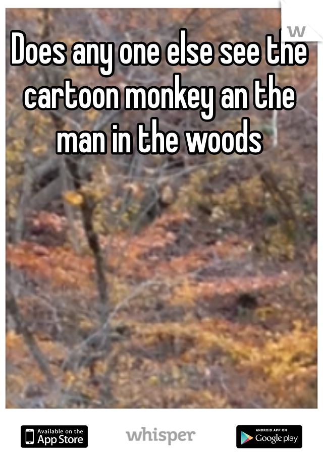 Does any one else see the cartoon monkey an the man in the woods