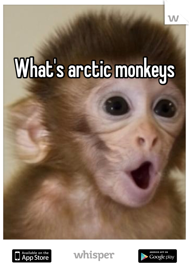 What's arctic monkeys 