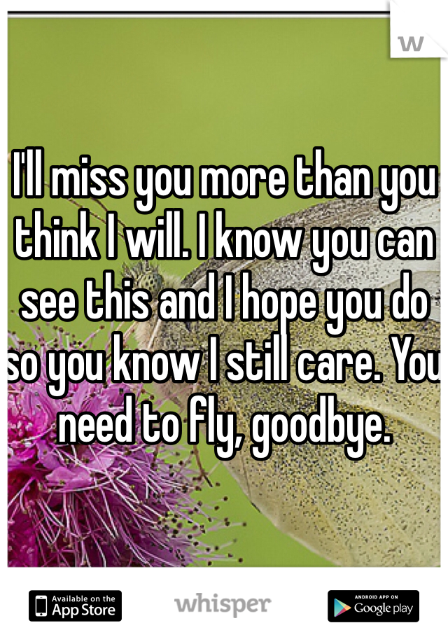 I'll miss you more than you think I will. I know you can see this and I hope you do so you know I still care. You need to fly, goodbye.
