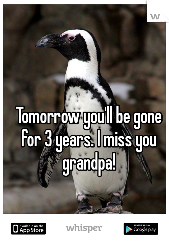 Tomorrow you'll be gone for 3 years. I miss you grandpa! 