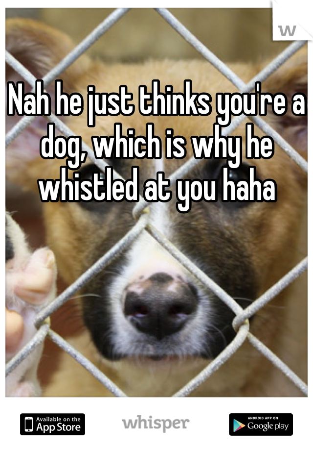 Nah he just thinks you're a dog, which is why he whistled at you haha