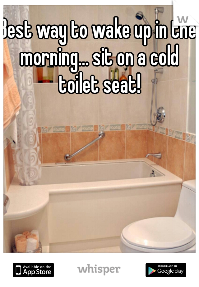 Best way to wake up in the morning... sit on a cold toilet seat!