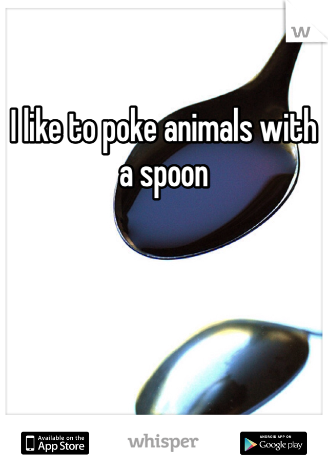 I like to poke animals with a spoon