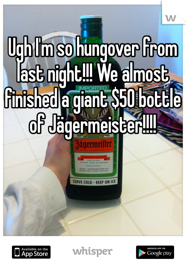 Ugh I'm so hungover from last night!!! We almost finished a giant $50 bottle of Jägermeister!!!! 