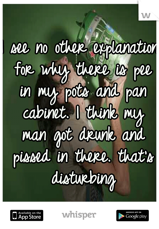 I see no other explanation for why there is pee in my pots and pan cabinet. I think my man got drunk and pissed in there. that's disturbing