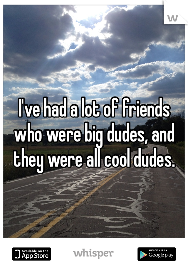 I've had a lot of friends who were big dudes, and they were all cool dudes. 