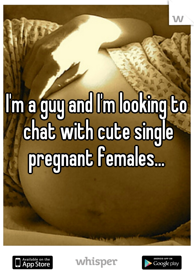 I'm a guy and I'm looking to chat with cute single pregnant females... 