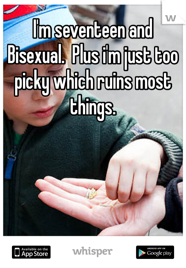 I'm seventeen and Bisexual.  Plus i'm just too picky which ruins most things.