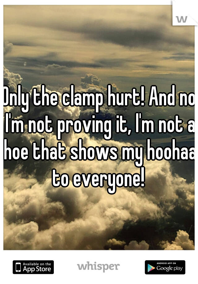 Only the clamp hurt! And no I'm not proving it, I'm not a hoe that shows my hoohaa to everyone! 