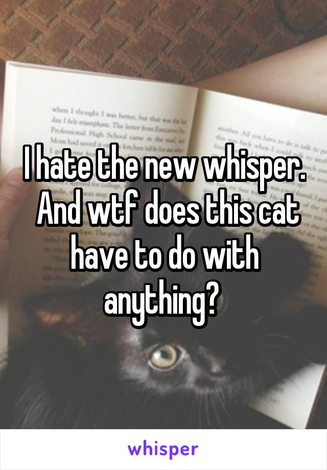 I hate the new whisper.  And wtf does this cat have to do with anything? 