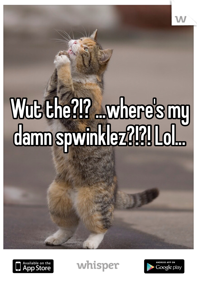 Wut the?!? ...where's my damn spwinklez?!?! Lol...