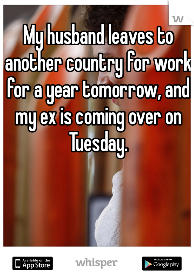 My husband leaves to another country for work for a year tomorrow, and my ex is coming over on Tuesday. 