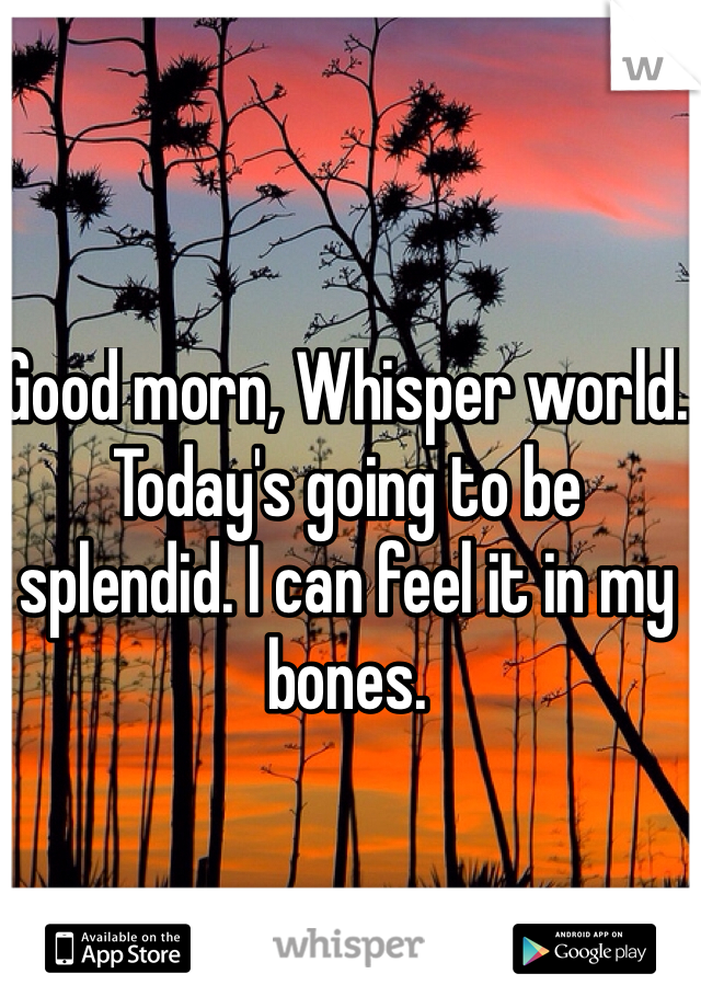 Good morn, Whisper world. Today's going to be splendid. I can feel it in my bones. 
