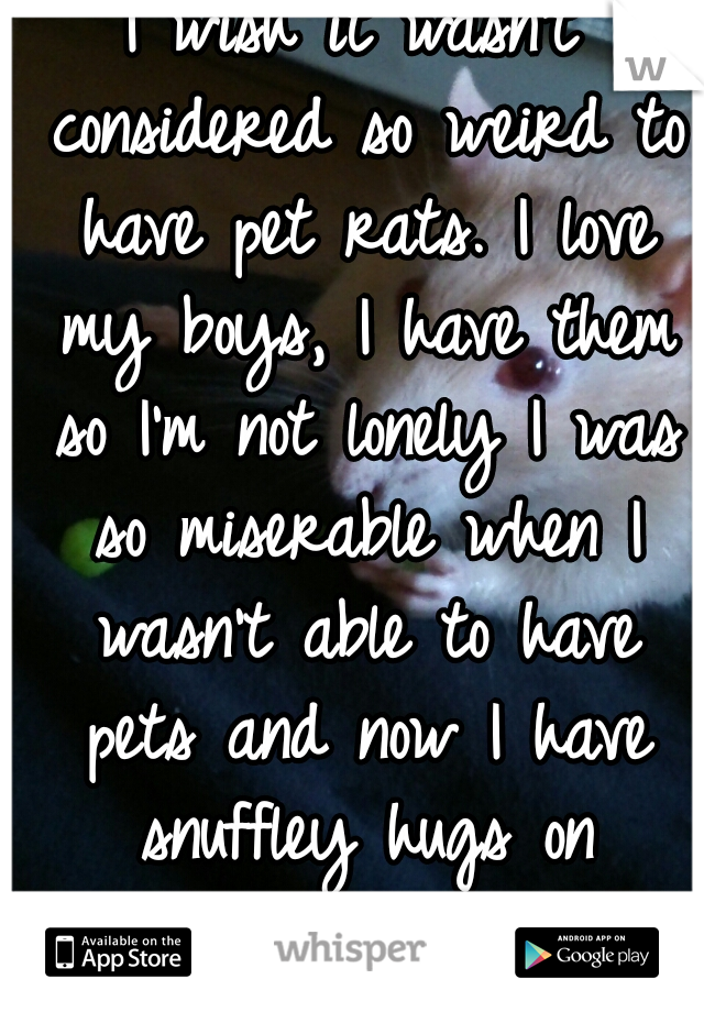 I wish it wasn't considered so weird to have pet rats. I love my boys, I have them so I'm not lonely I was so miserable when I wasn't able to have pets and now I have snuffley hugs on demand! <3