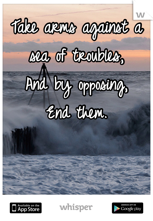 Take arms against a sea of troubles,
And by opposing,
End them.