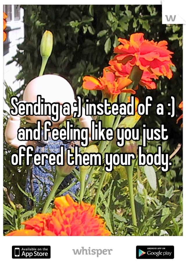 Sending a ;) instead of a :) and feeling like you just offered them your body. 