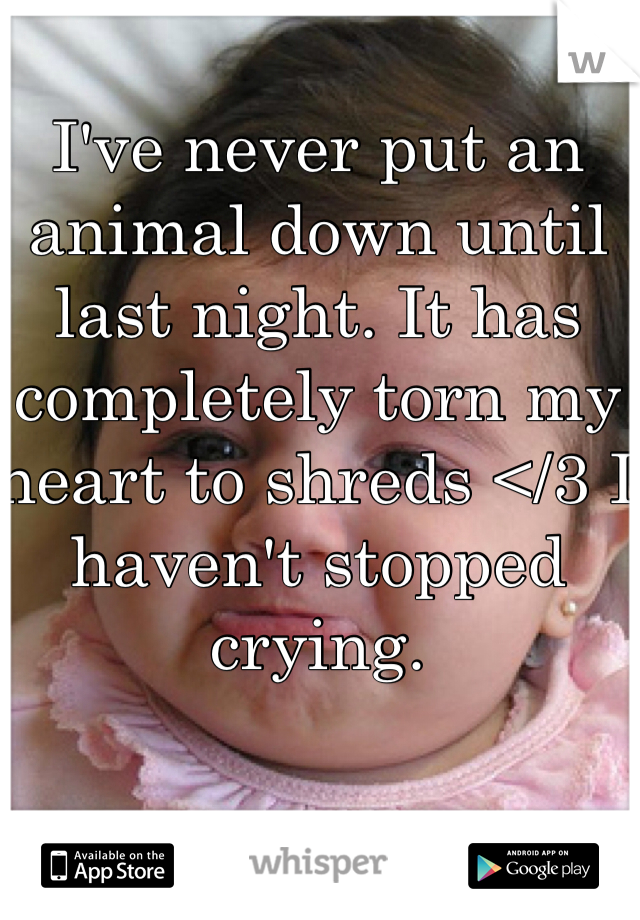 I've never put an animal down until last night. It has completely torn my heart to shreds </3 I haven't stopped crying. 