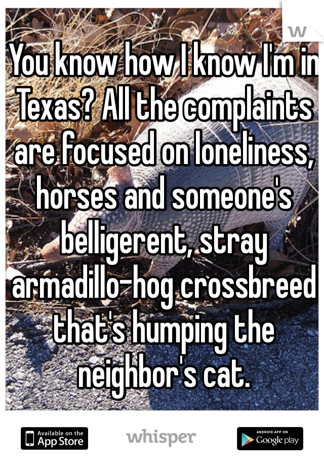 You know how I know I'm in Texas? All the complaints are focused on loneliness, horses and someone's belligerent, stray armadillo-hog crossbreed that's humping the neighbor's cat. 