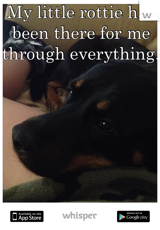 My little rottie has been there for me through everything. 