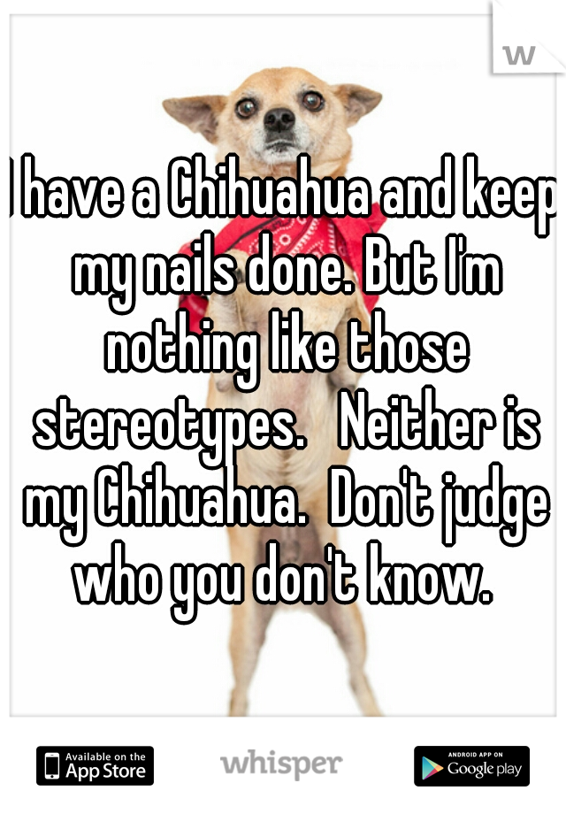 I have a Chihuahua and keep my nails done. But I'm nothing like those stereotypes.   Neither is my Chihuahua.  Don't judge who you don't know. 