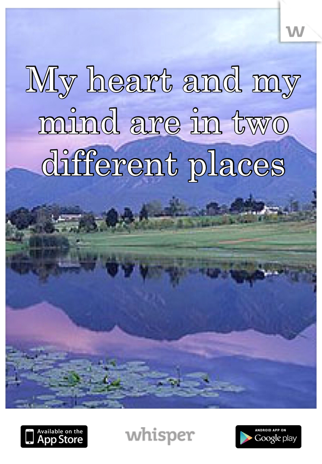 My heart and my mind are in two different places