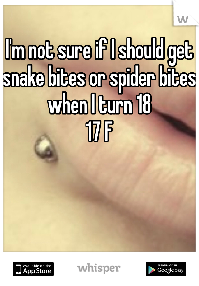 I'm not sure if I should get snake bites or spider bites when I turn 18
17 F