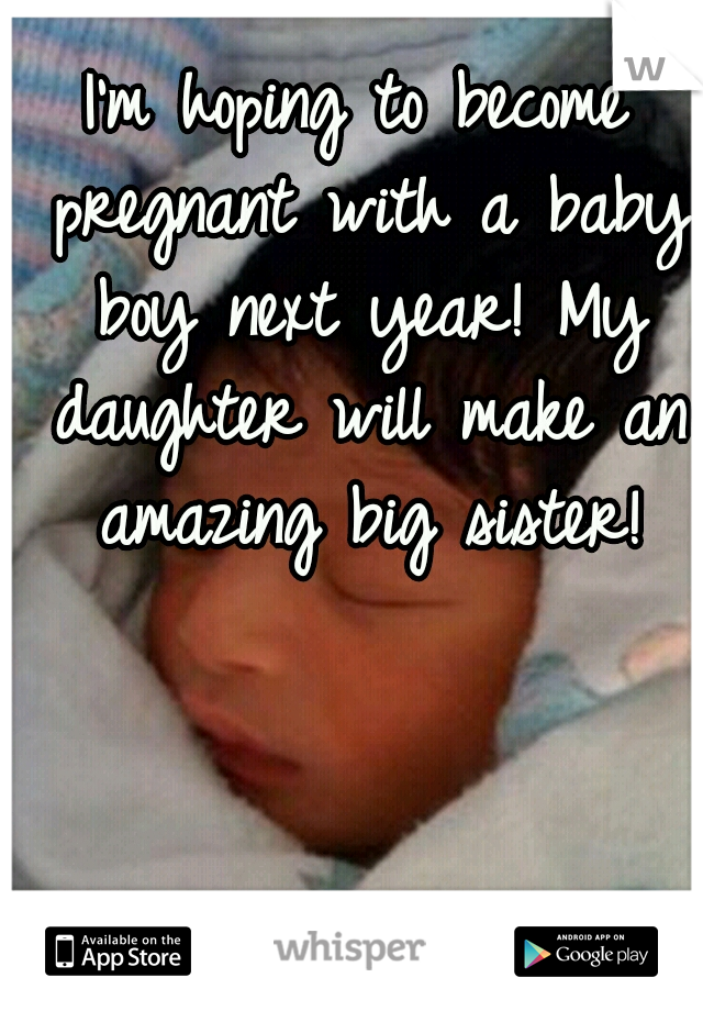 I'm hoping to become pregnant with a baby boy next year! My daughter will make an amazing big sister!