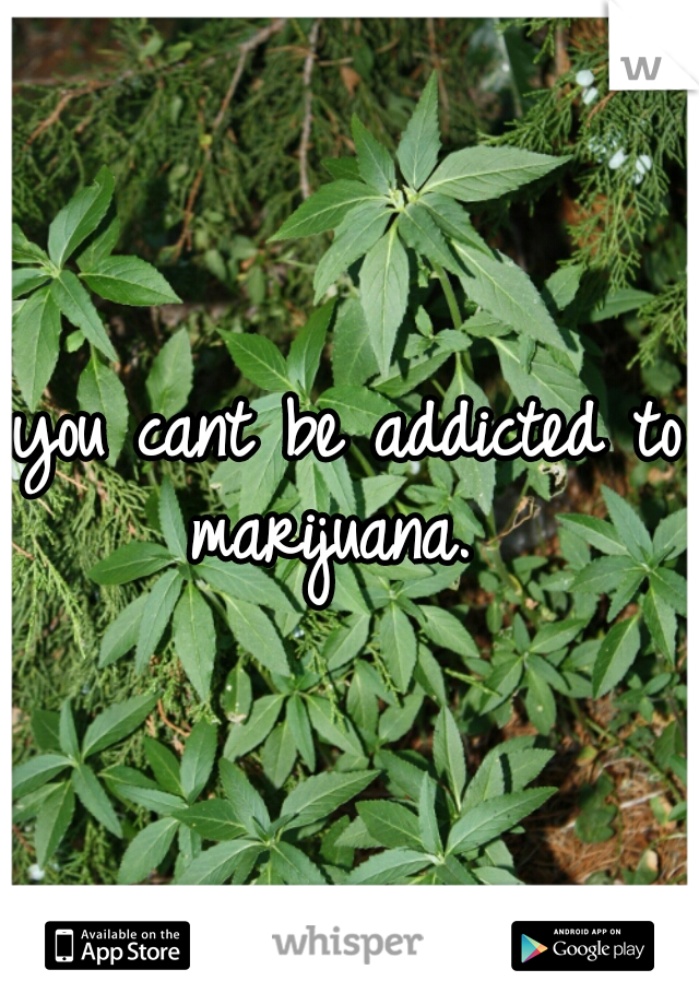 you cant be addicted to marijuana.  