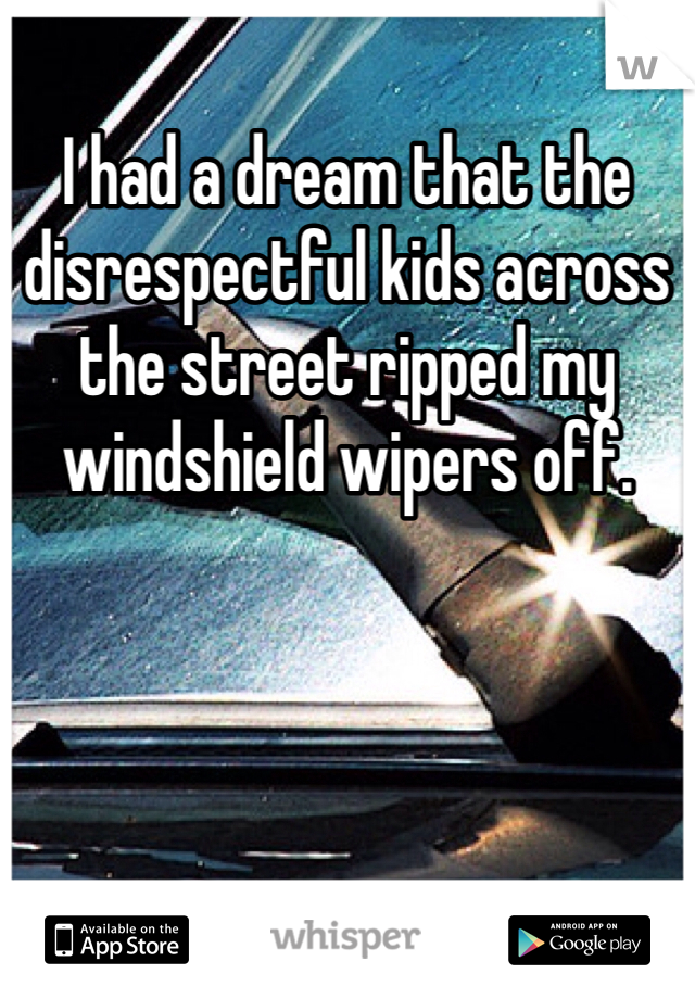 I had a dream that the disrespectful kids across the street ripped my windshield wipers off.
