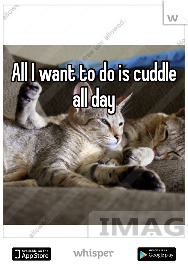 All I want to do is cuddle all day