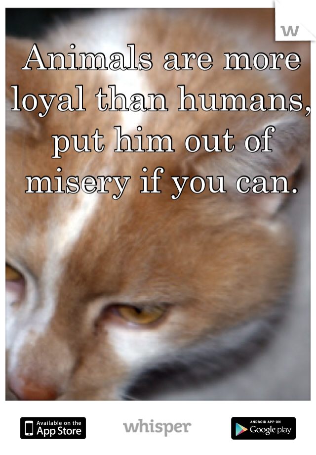 Animals are more loyal than humans, put him out of misery if you can.