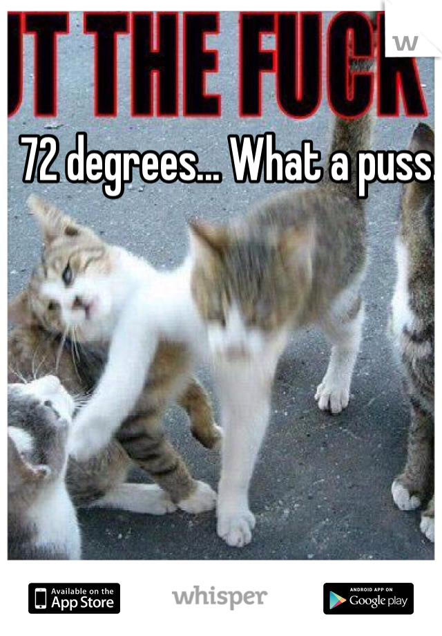 72 degrees... What a puss.   