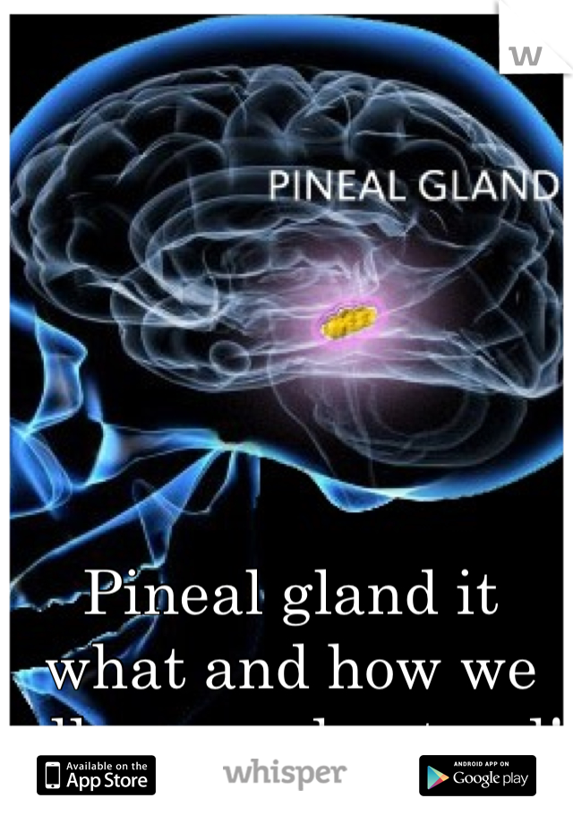 Pineal gland it what and how we all can understand!