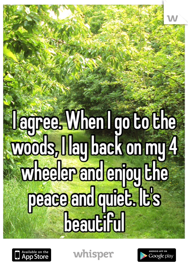


I agree. When I go to the woods, I lay back on my 4 wheeler and enjoy the peace and quiet. It's beautiful 