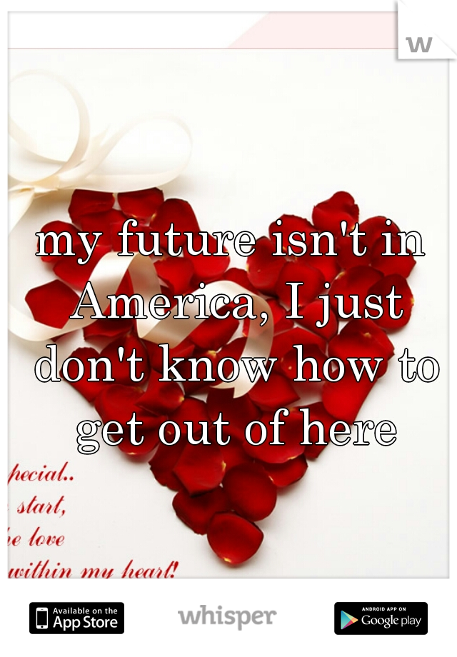 my future isn't in America, I just don't know how to get out of here