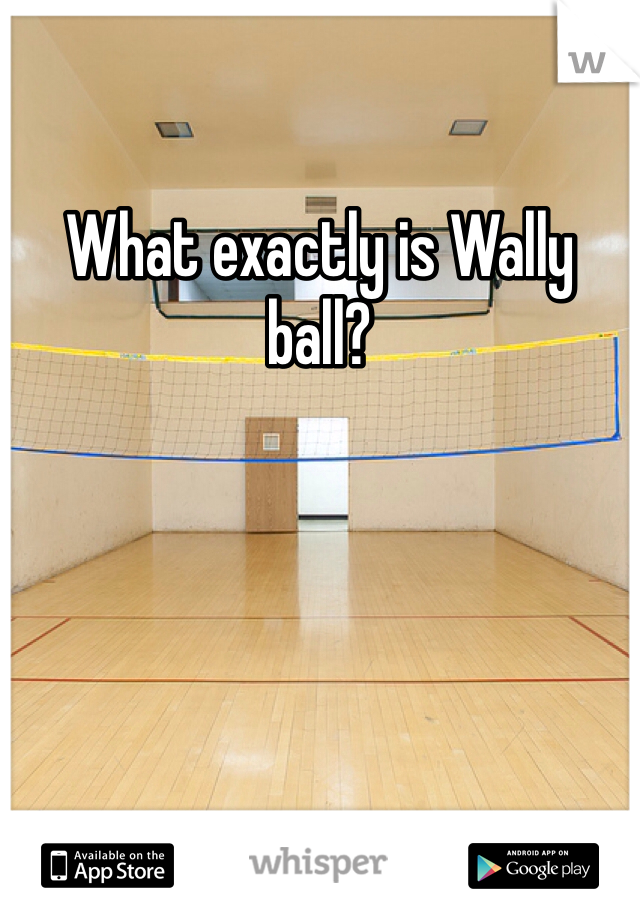 What exactly is Wally ball? 