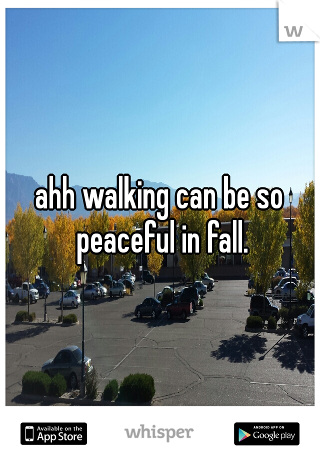 ahh walking can be so peaceful in fall.