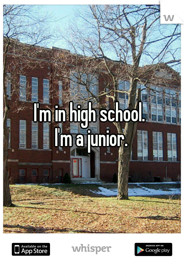 I'm in high school. 
I'm a junior.