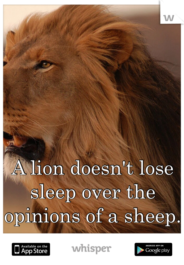 A lion doesn't lose sleep over the opinions of a sheep.