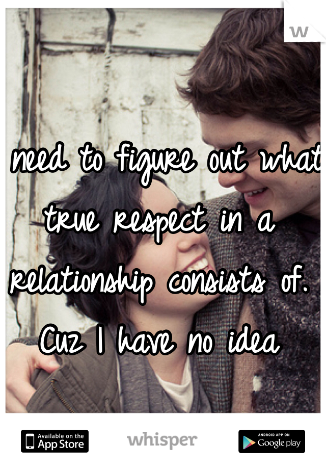 I need to figure out what true respect in a relationship consists of. Cuz I have no idea 