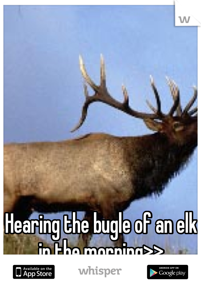 Hearing the bugle of an elk in the morning>>