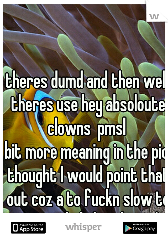 theres dumd and then well theres use hey absoloute clowns  pmsl 
bit more meaning in the pic thought I would point that out coz a to fuckn slow to get a subtle hint hey ;-)
