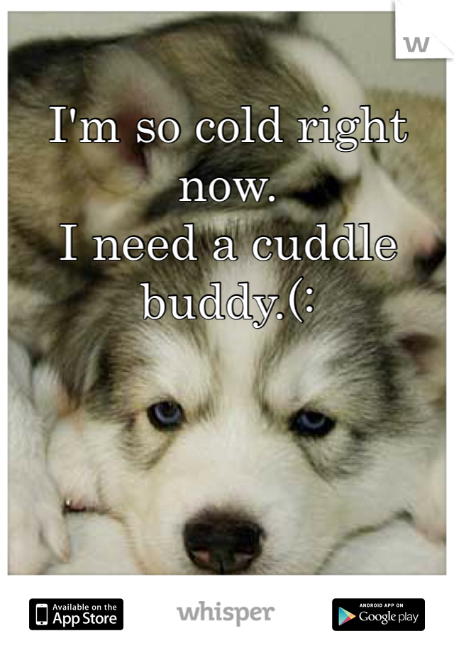 I'm so cold right now. 
I need a cuddle buddy.(: