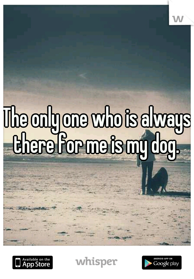The only one who is always there for me is my dog. 