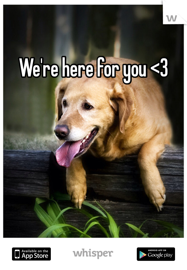 We're here for you <3
