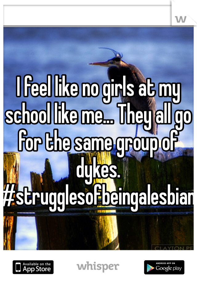 I feel like no girls at my school like me... They all go for the same group of dykes. #strugglesofbeingalesbian