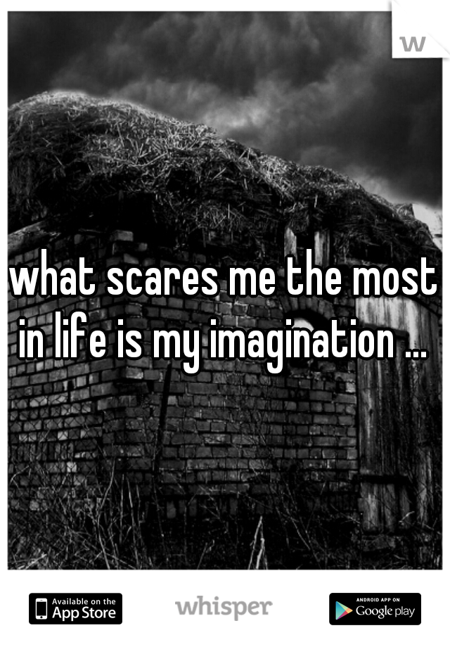 what scares me the most in life is my imagination ... 