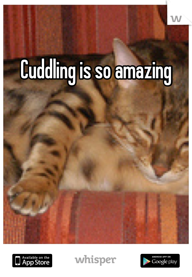 Cuddling is so amazing